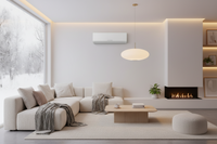 Best Mini-Split for Cold Climate 2026 (Works Below -20°F / -)