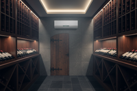Mini-Split for Wine Cellar: What Works and What Doesn't