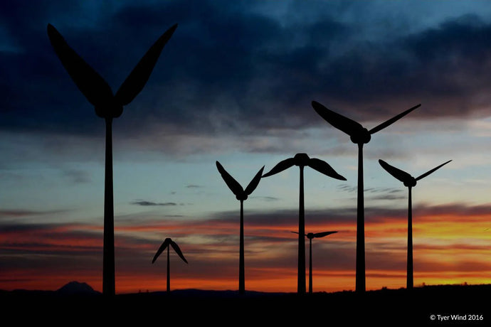 RENEWABLE ENERGY OVERTAKES FOSSIL FUELS IN POWERING THE UK
